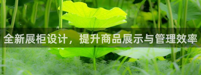 卧龙娱乐登录网址