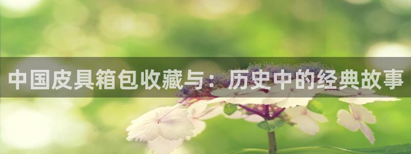 卧龙娱乐优七九九47