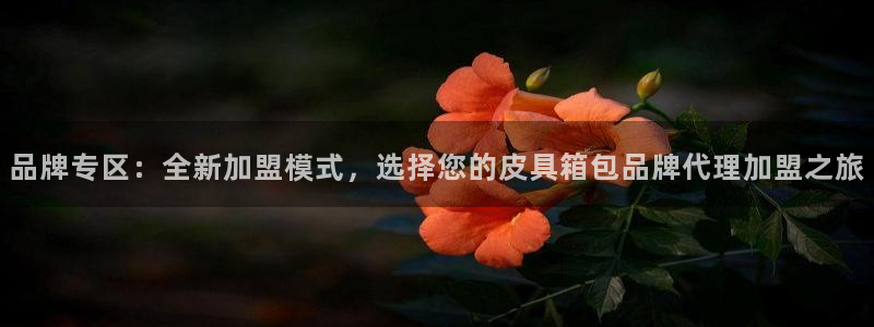 卧龙娱乐主管是谁