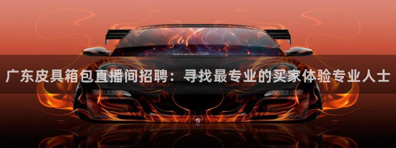 卧龙娱乐招商主管薪资