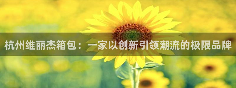 卧龙凤雏娱乐资讯