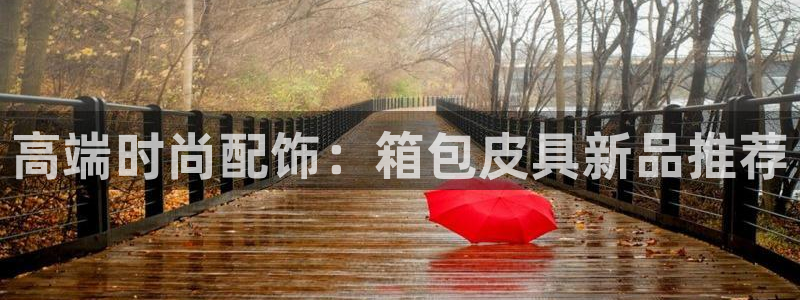 卧龙娱乐招商代理是谁