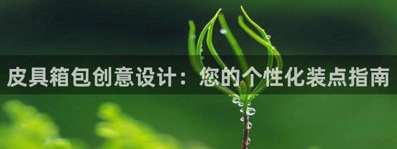 卧龙娱乐气垫项目投资