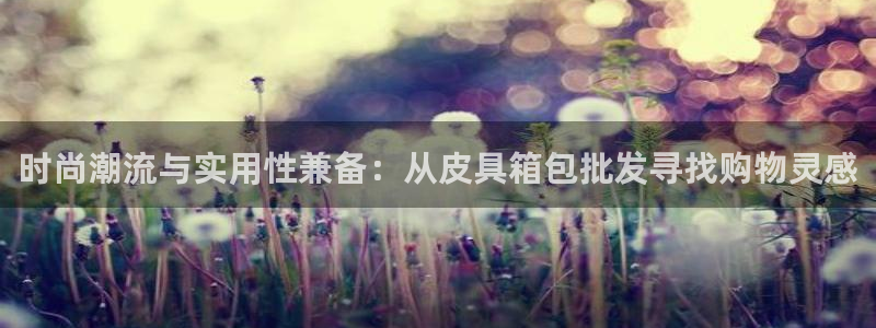 卧龙娱乐登录地址查询