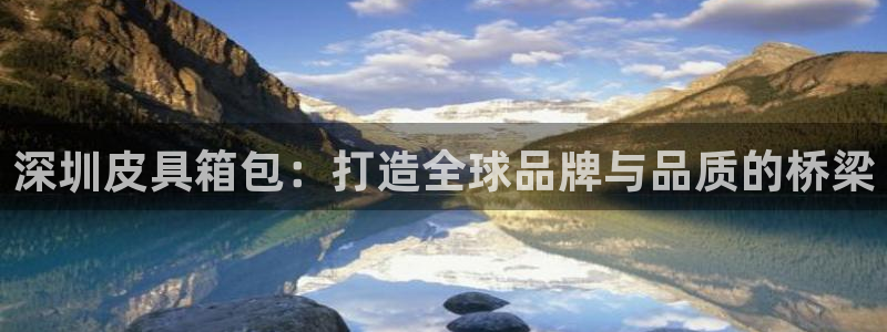 卧龙2神机娱乐攻略