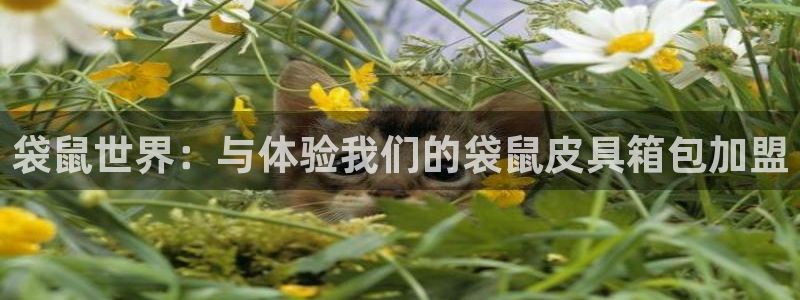 卧龙环岛儿童娱乐