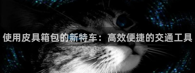 卧龙娱乐优七九九47