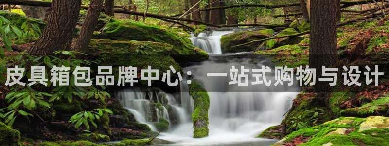 卧龙娱乐有限公司