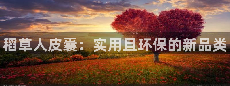 卧龙娱乐平台靠谱吗