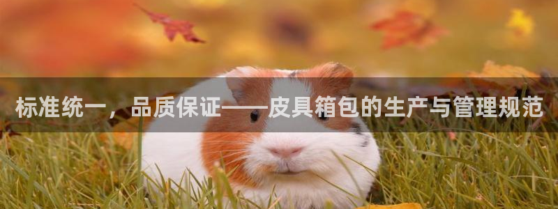 娱乐资讯君卧龙