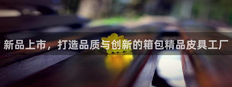 卧龙娱乐注册网址多少