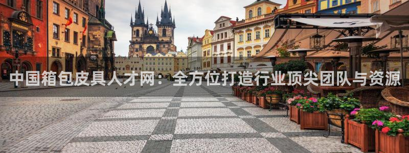 卧龙娱乐招商主管