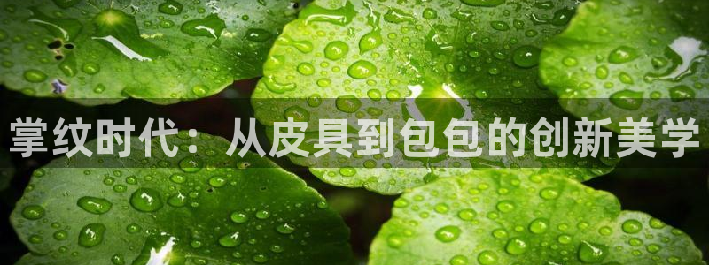 卧龙儿童娱乐海洋球