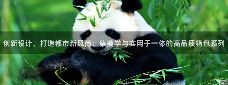 卧龙凤雏娱乐版