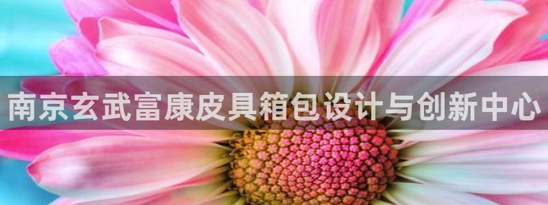 卧龙娱乐彩下载