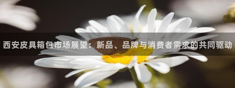 卧龙娱乐挂机平台官网