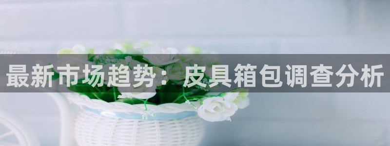 卧龙娱乐总管