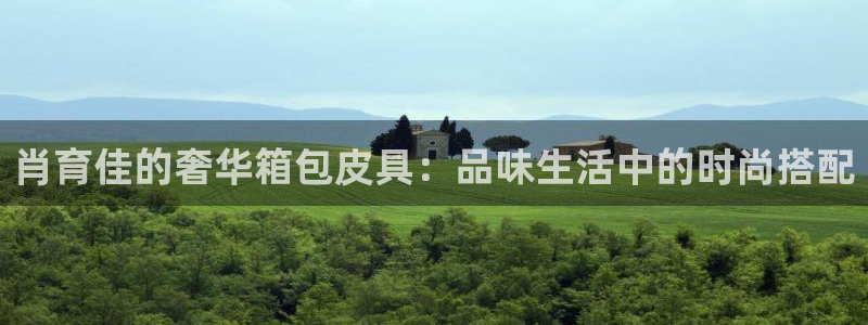 卧龙娱乐彩票官网