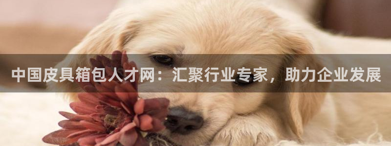卧龙镇娱乐