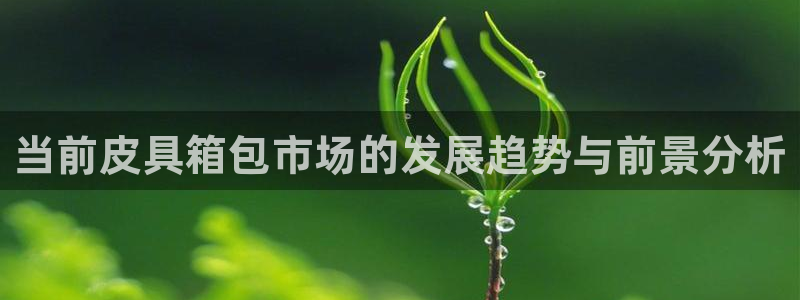 卧龙娱乐官网网址
