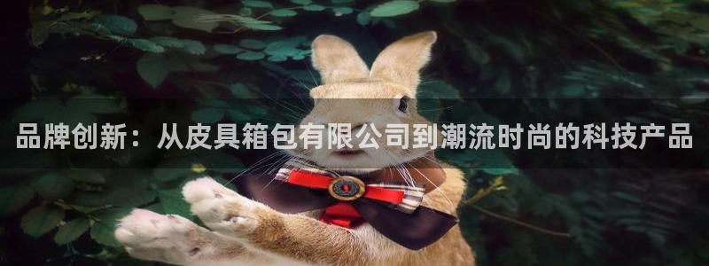 卧龙娱乐网址大全