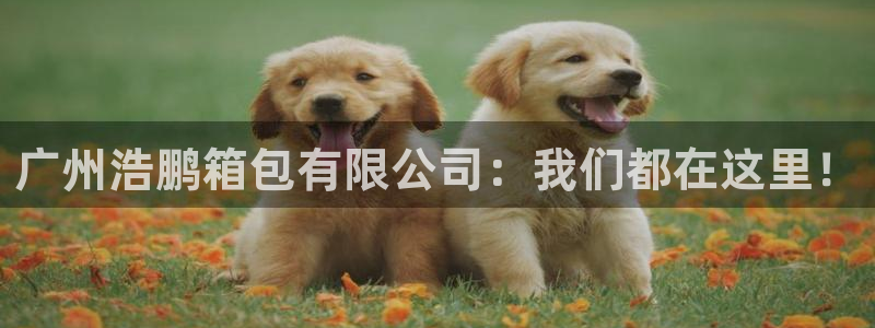 卧龙区凤凰娱乐
