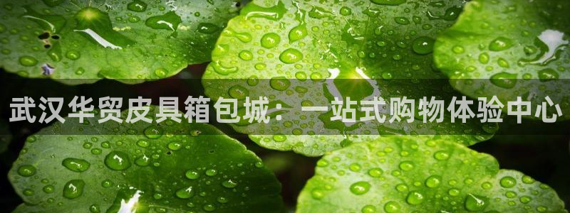 sky娱乐 扣卧龙60447