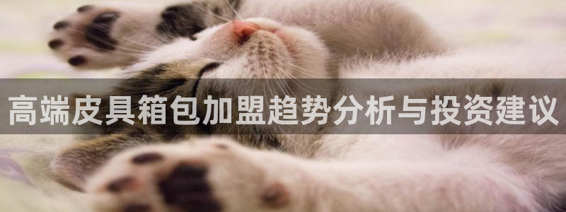 PT娱乐卧龙主管60447