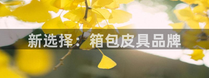 卧龙区娱乐设备