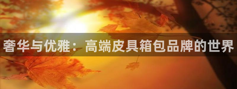 卧龙娱乐网址