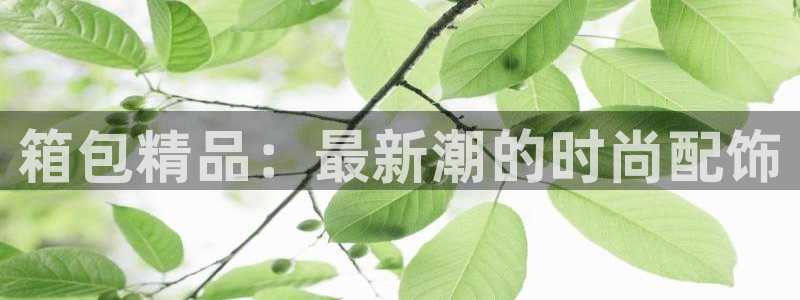 卧龙峡水上娱乐