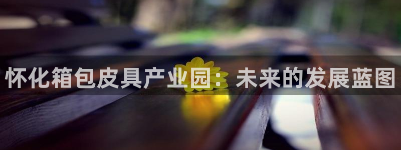 卧龙娱乐招商