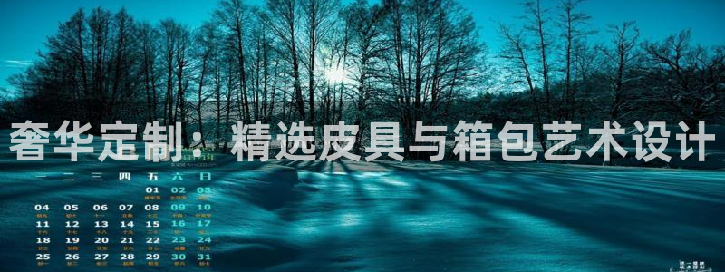 卧龙区维也纳娱乐会所