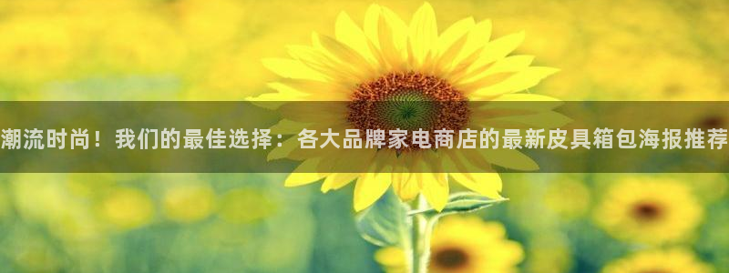 卧龙娱乐软件
