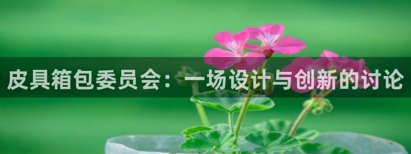 卧龙凤雏娱乐运城