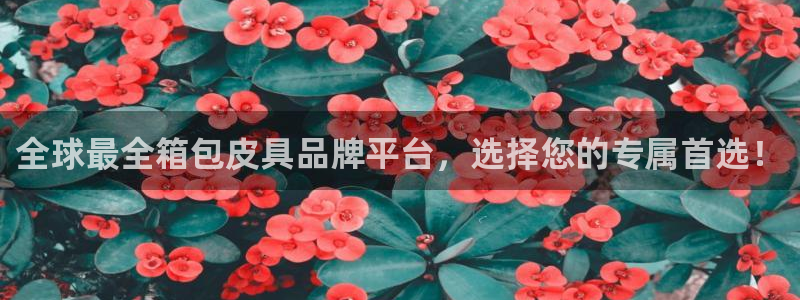 卧龙凤雏娱乐夫妻