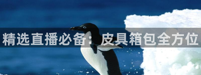 卧龙娱乐官网网址