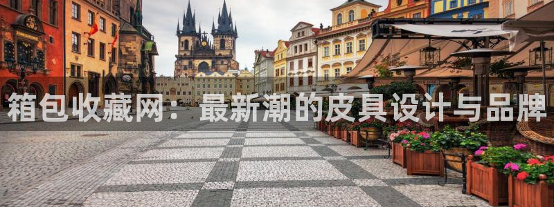 卧龙娱乐集团投注